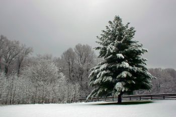 McCormicks Creek State Park in Winter