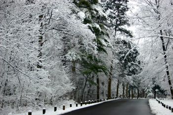 McCormicks Creek State Park in Winter