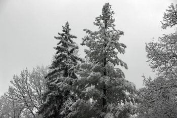 McCormicks Creek State Park in Winter