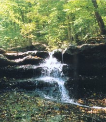 Small Water Fall